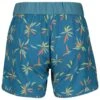 Stoic Women's SandvikSt. Boardshorts - Boardshort